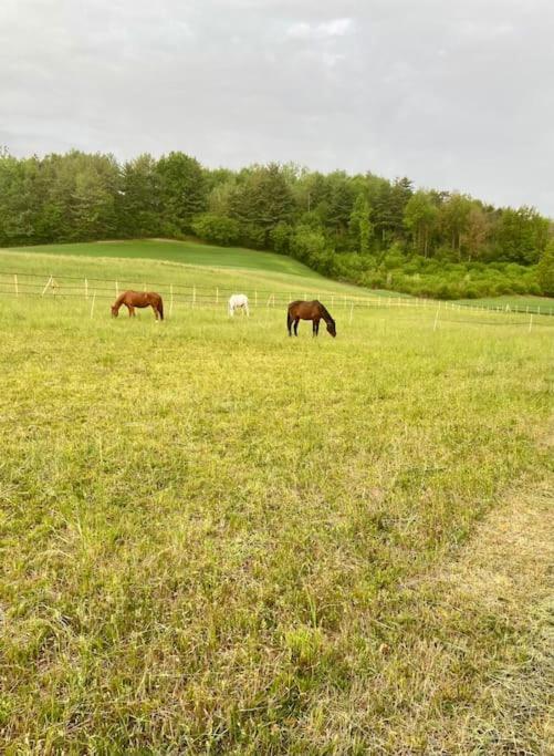 Appartamento In Cascina -La Cascinetta Di Ali- Roatto Екстер'єр фото