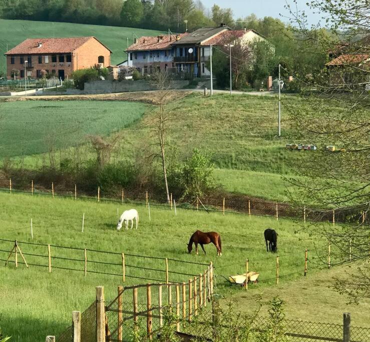 Appartamento In Cascina -La Cascinetta Di Ali- Roatto Екстер'єр фото