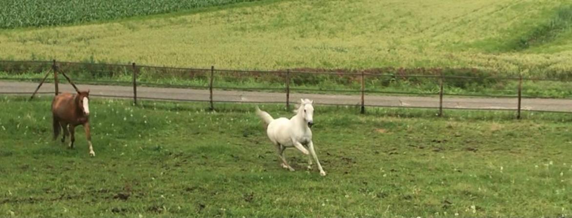 Appartamento In Cascina -La Cascinetta Di Ali- Roatto Екстер'єр фото